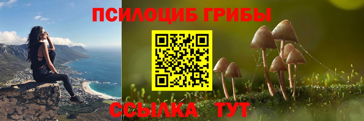Галлюциногенные грибы мицелий  Вход с VPN  Михайловск 