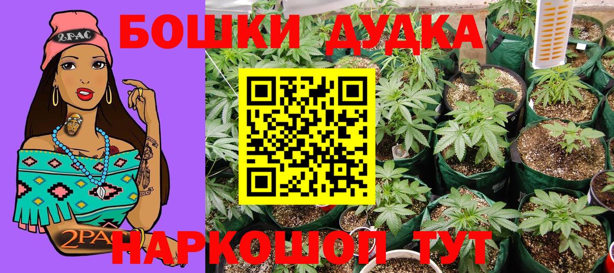 Канабис тримм  Бошки марихуана индика  Марихуана AK-47  Михайловск  Вход с VPN 